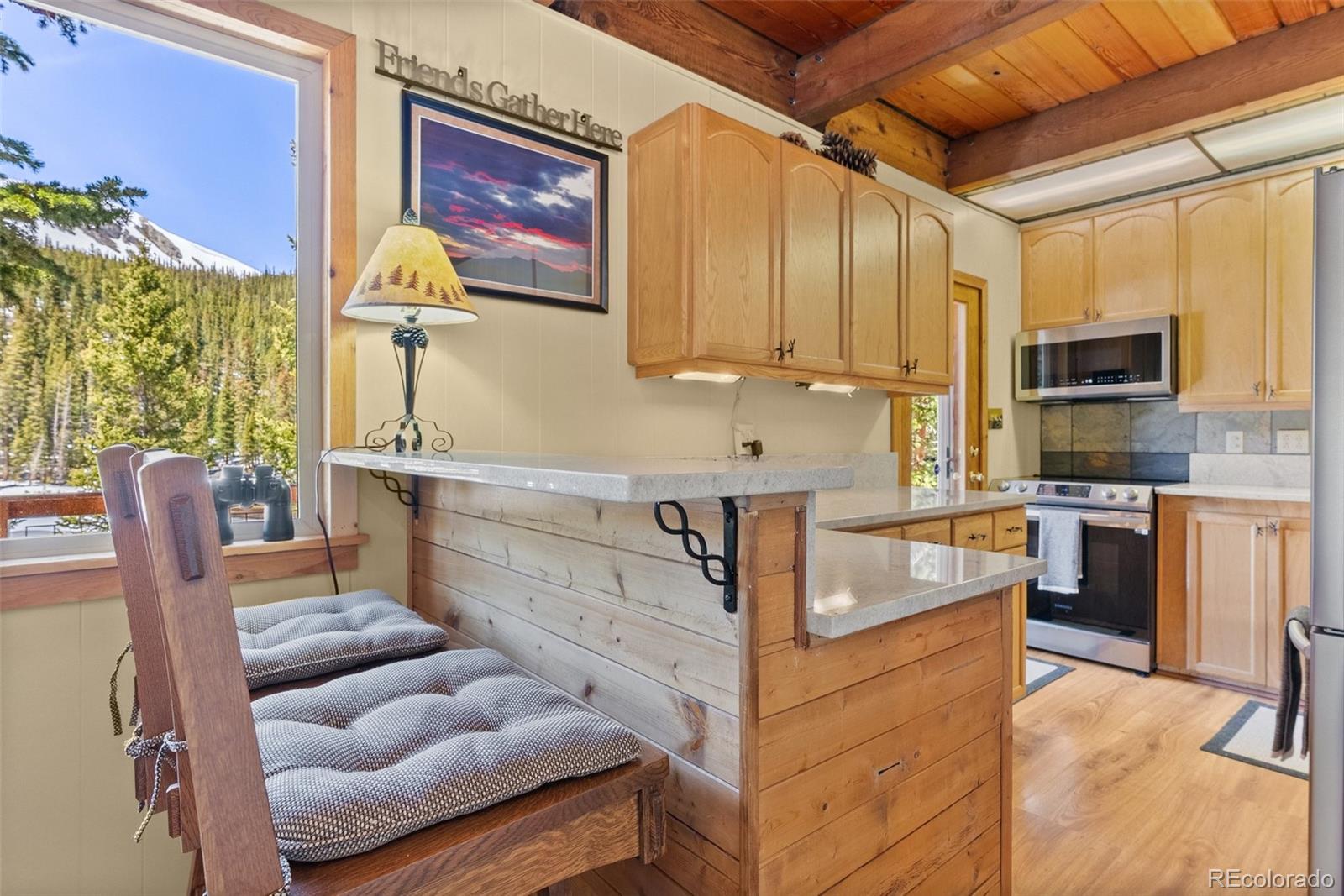 MLS Image #9 for 563  brook drive,idaho springs, Colorado