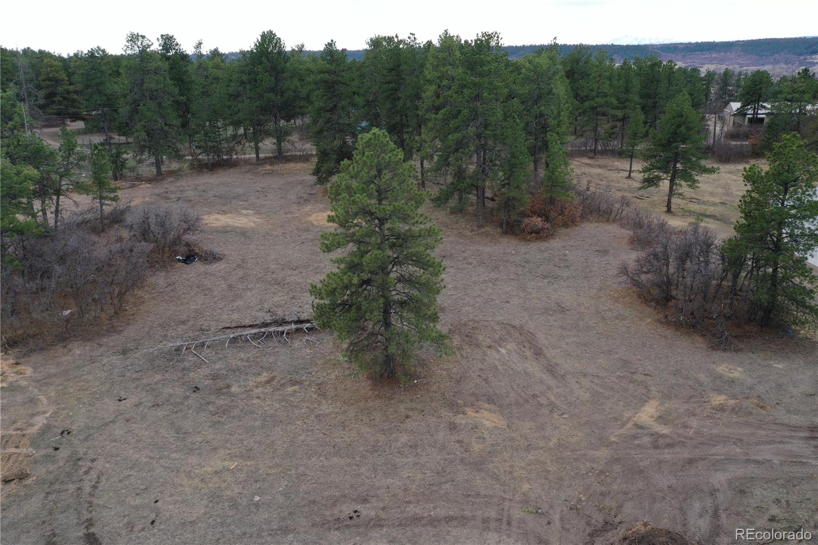 MLS Image #1 for 1561  arrowpoint court,franktown, Colorado