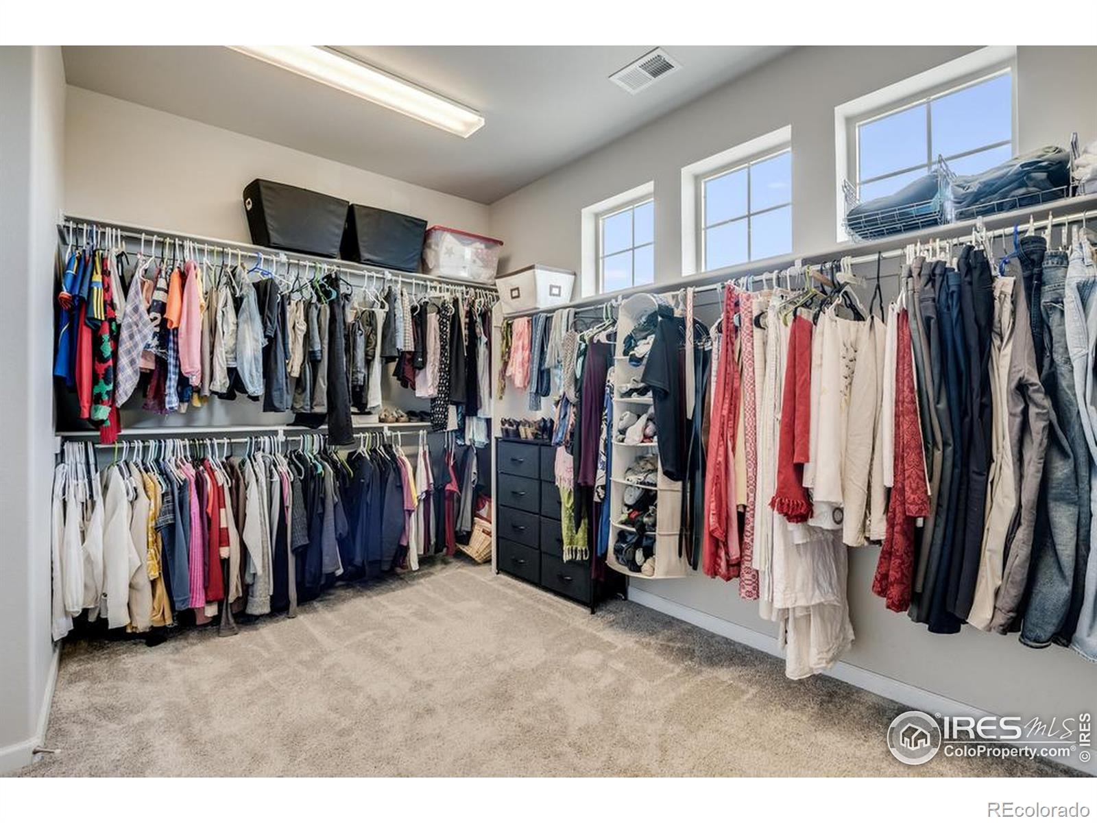 MLS Image #19 for 5921  medlar place,fort collins, Colorado