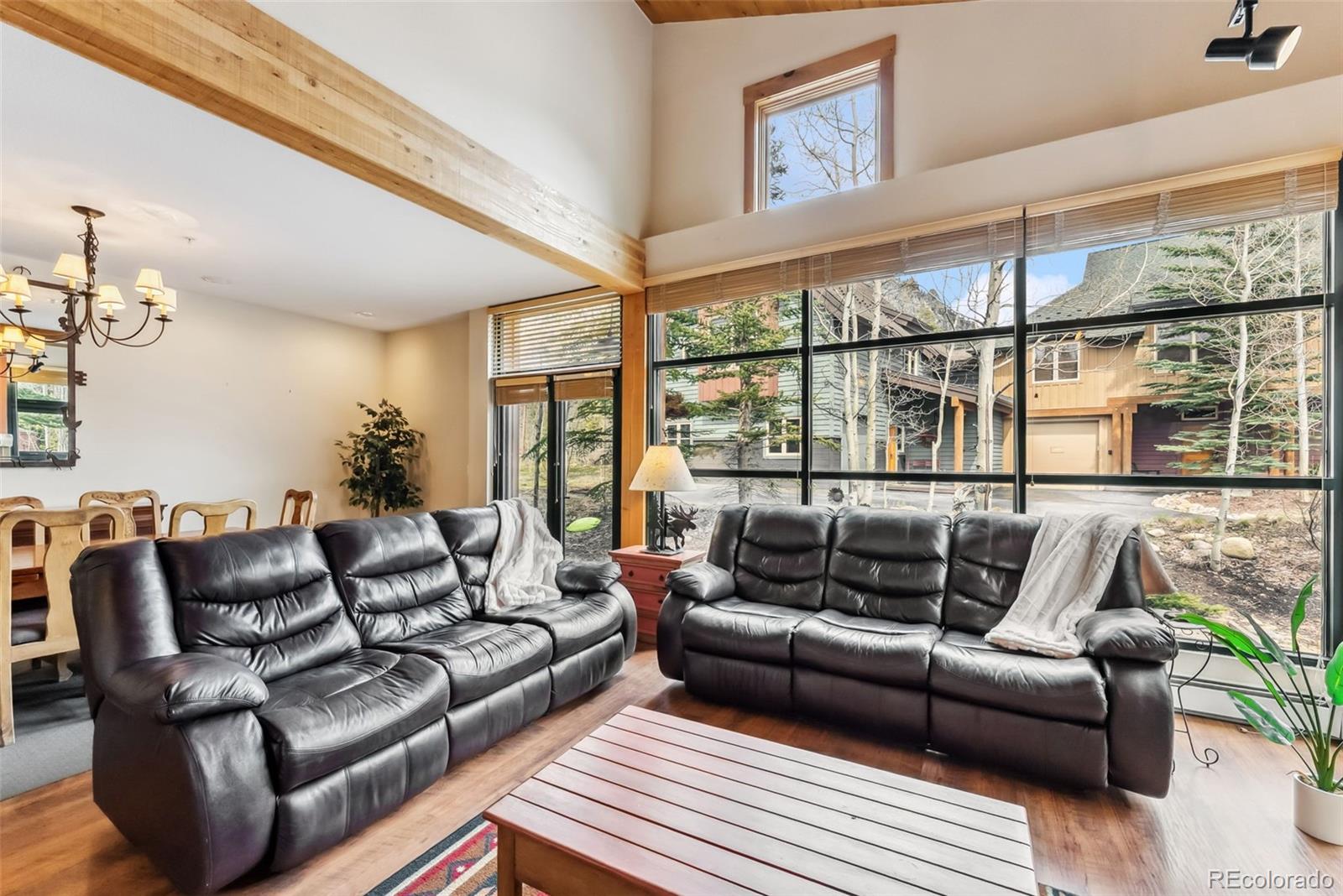 MLS Image #10 for 259  alpenrose place,dillon, Colorado