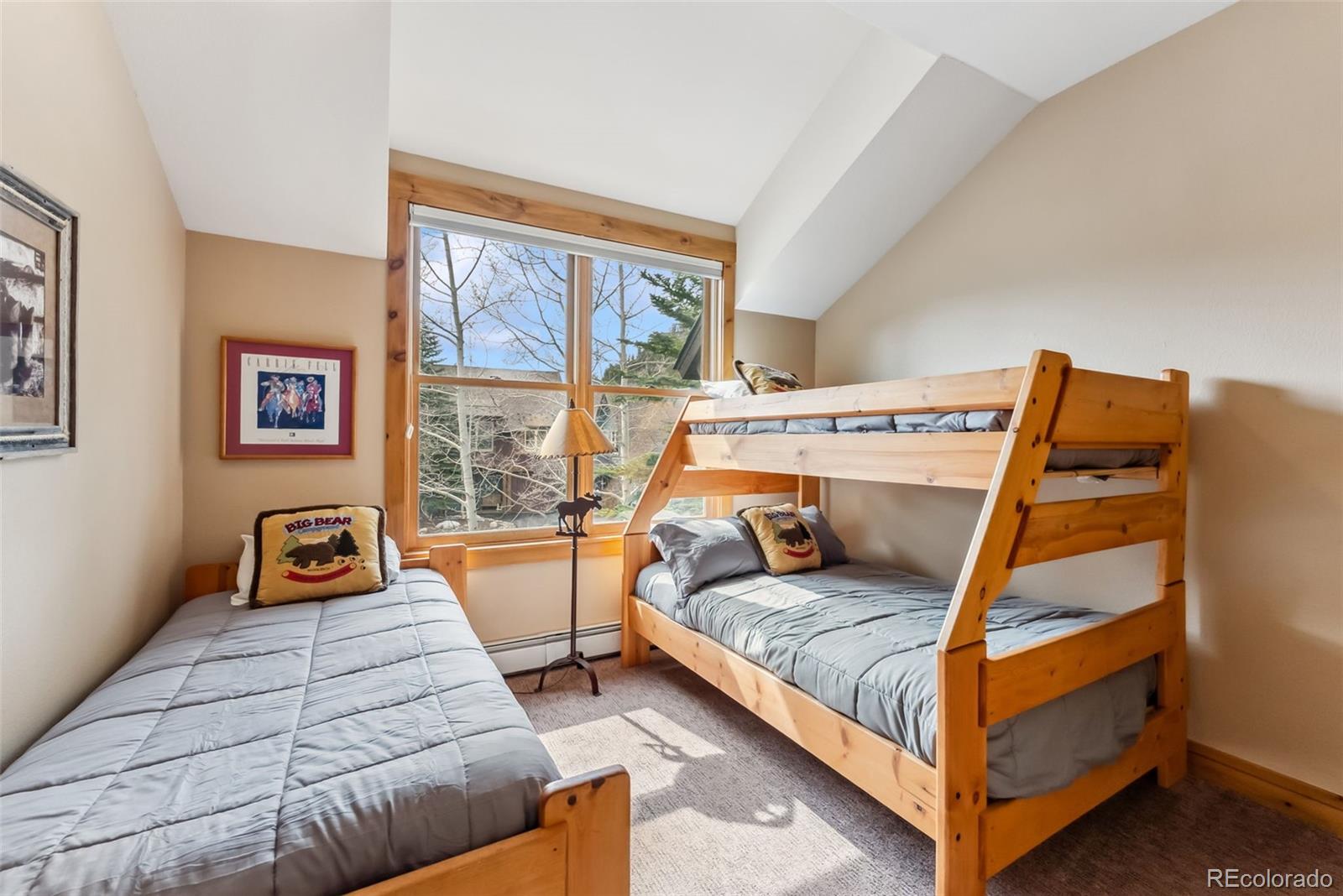 MLS Image #17 for 259  alpenrose place,dillon, Colorado