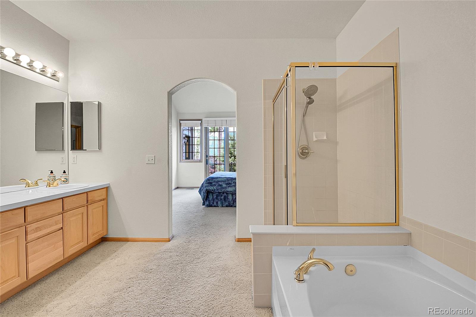 MLS Image #15 for 31139  tahoe court,evergreen, Colorado