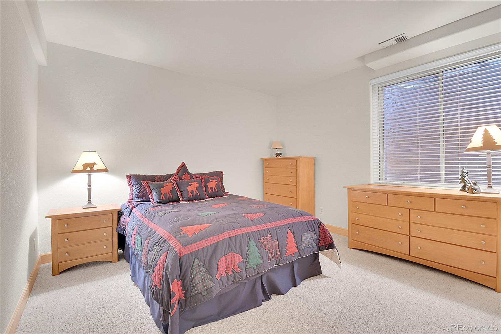 MLS Image #21 for 31139  tahoe court,evergreen, Colorado