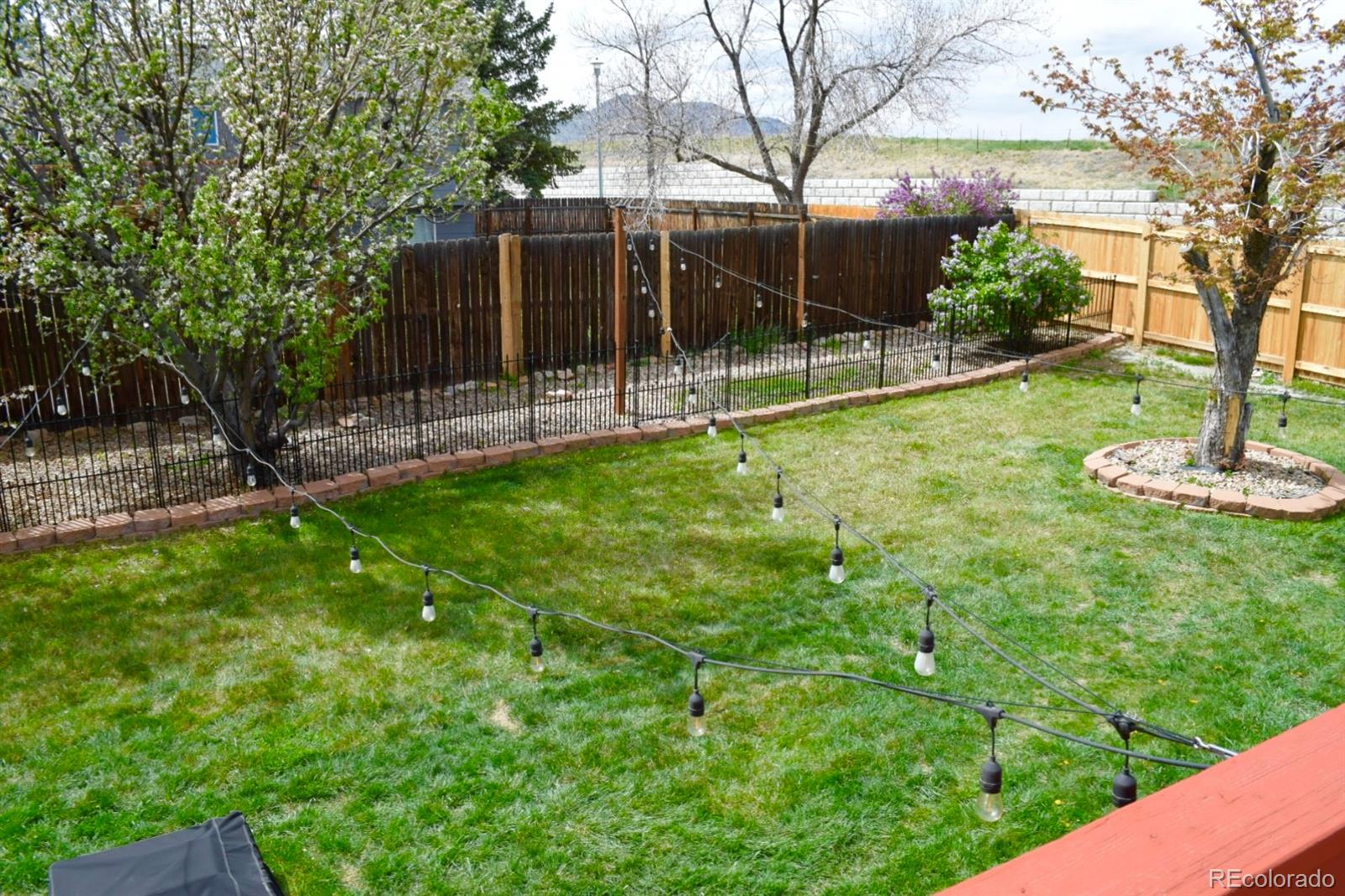 MLS Image #8 for 4303 s yank street,morrison, Colorado