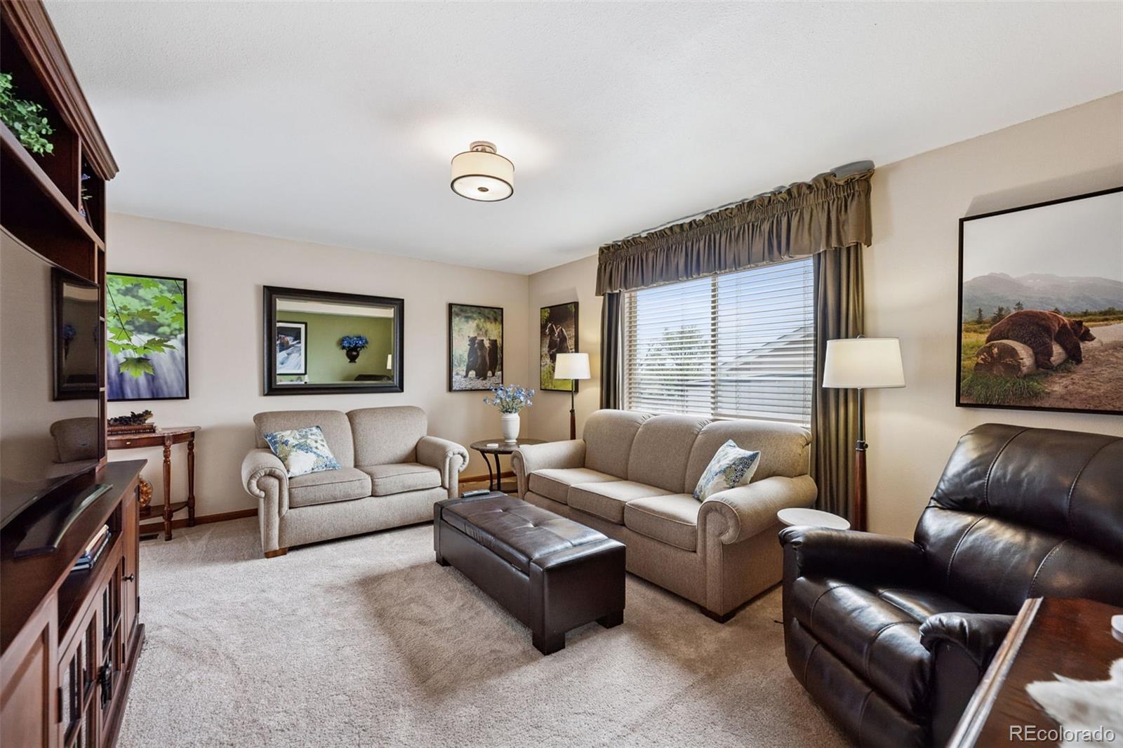 MLS Image #11 for 1055  lindstrom drive,colorado springs, Colorado