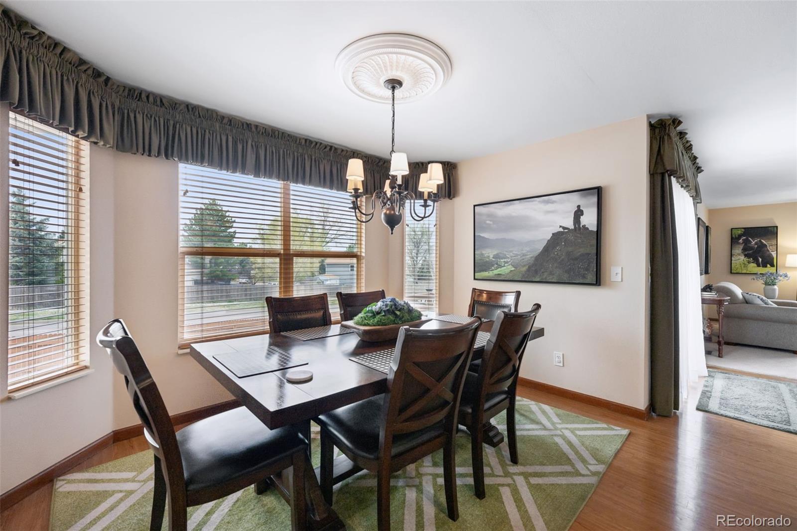 MLS Image #16 for 1055  lindstrom drive,colorado springs, Colorado