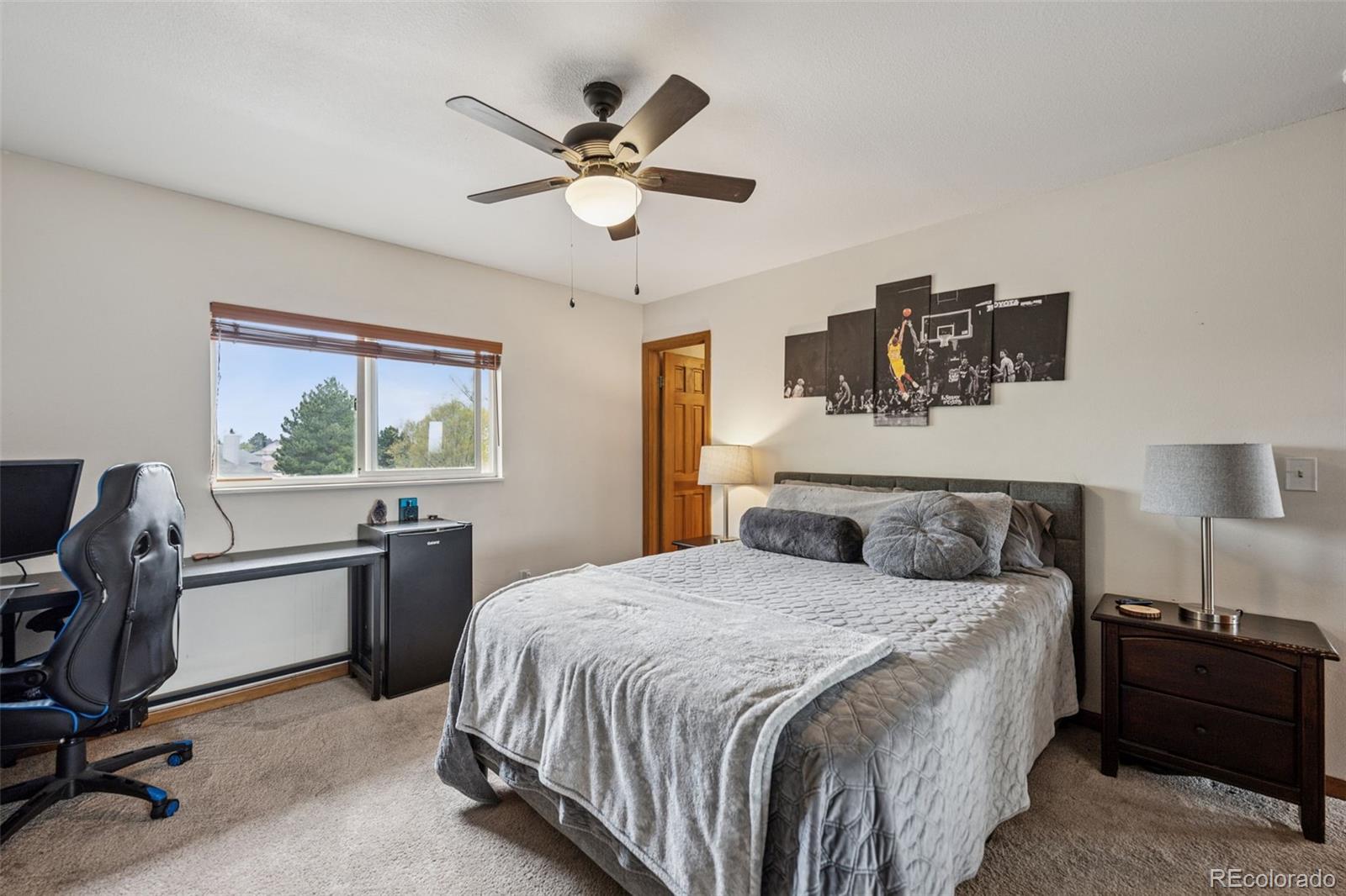 MLS Image #37 for 1055  lindstrom drive,colorado springs, Colorado
