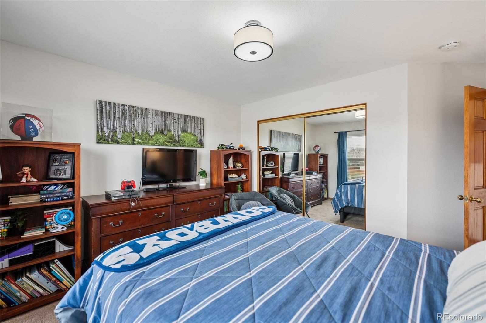MLS Image #41 for 1055  lindstrom drive,colorado springs, Colorado