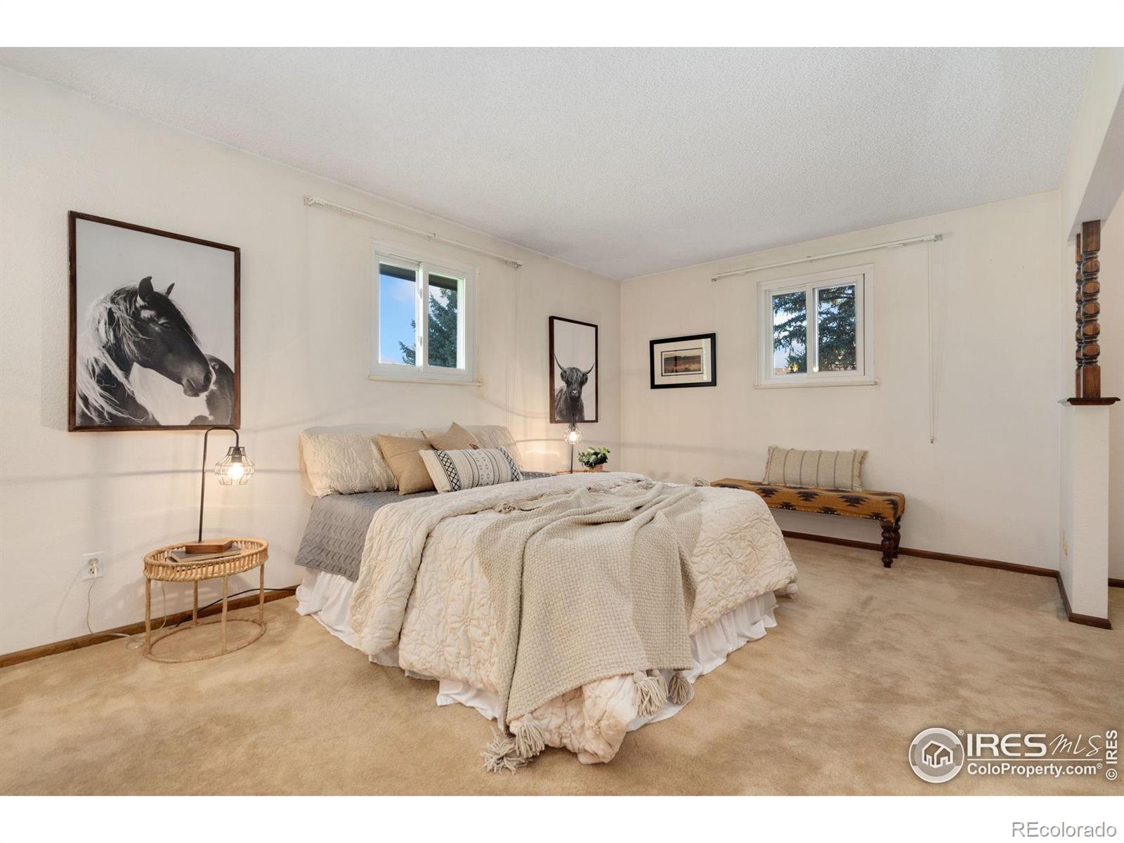 MLS Image #19 for 1020  jay court,loveland, Colorado
