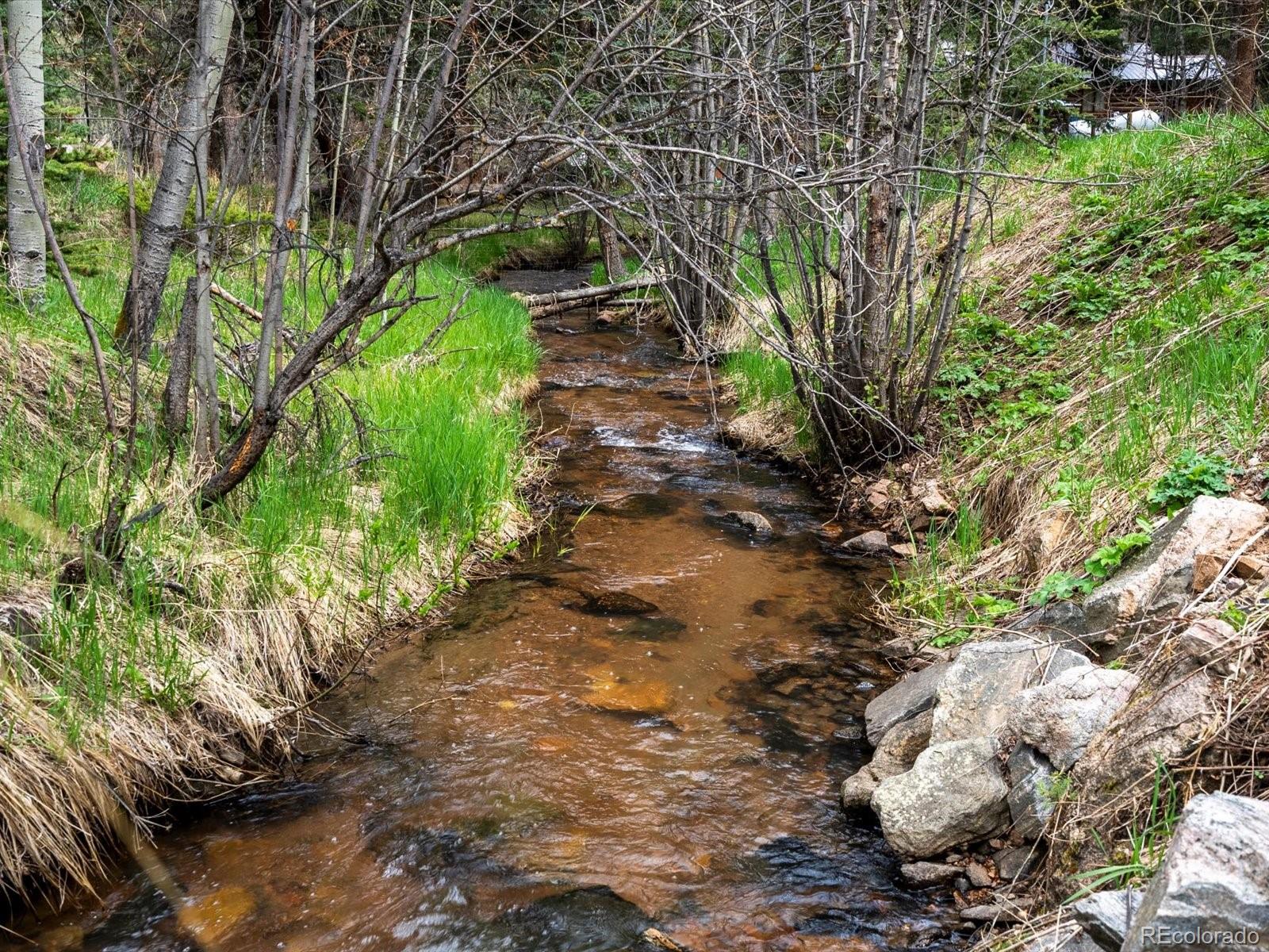 MLS Image #19 for 28272  shadow mountain drive,conifer, Colorado
