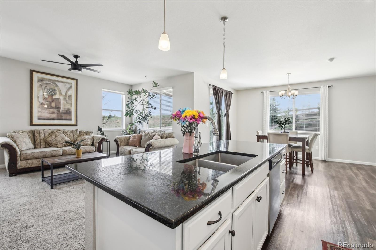 MLS Image #7 for 2188  abigail lane,castle rock, Colorado