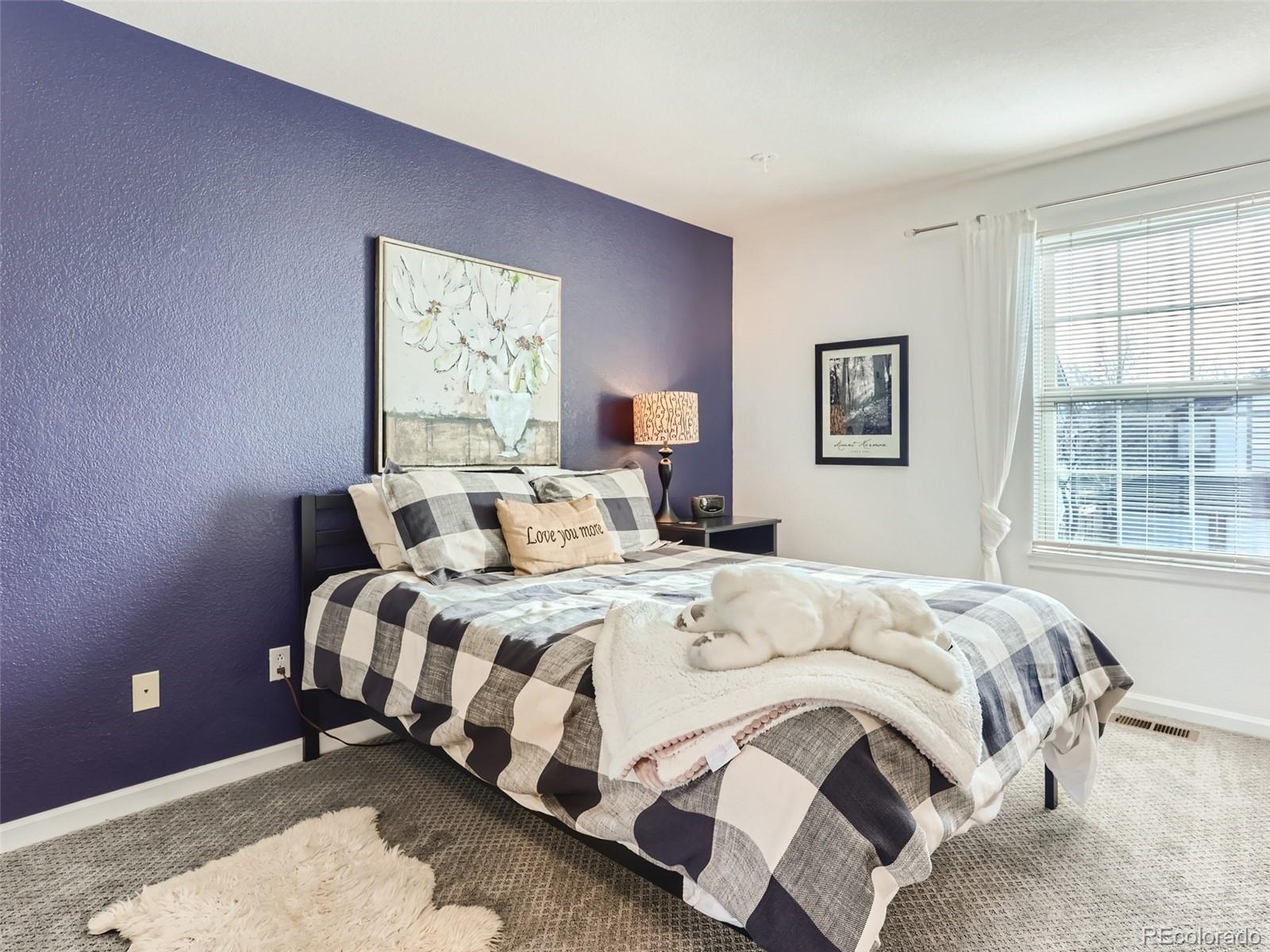 MLS Image #19 for 8862  chestnut hill lane,highlands ranch, Colorado
