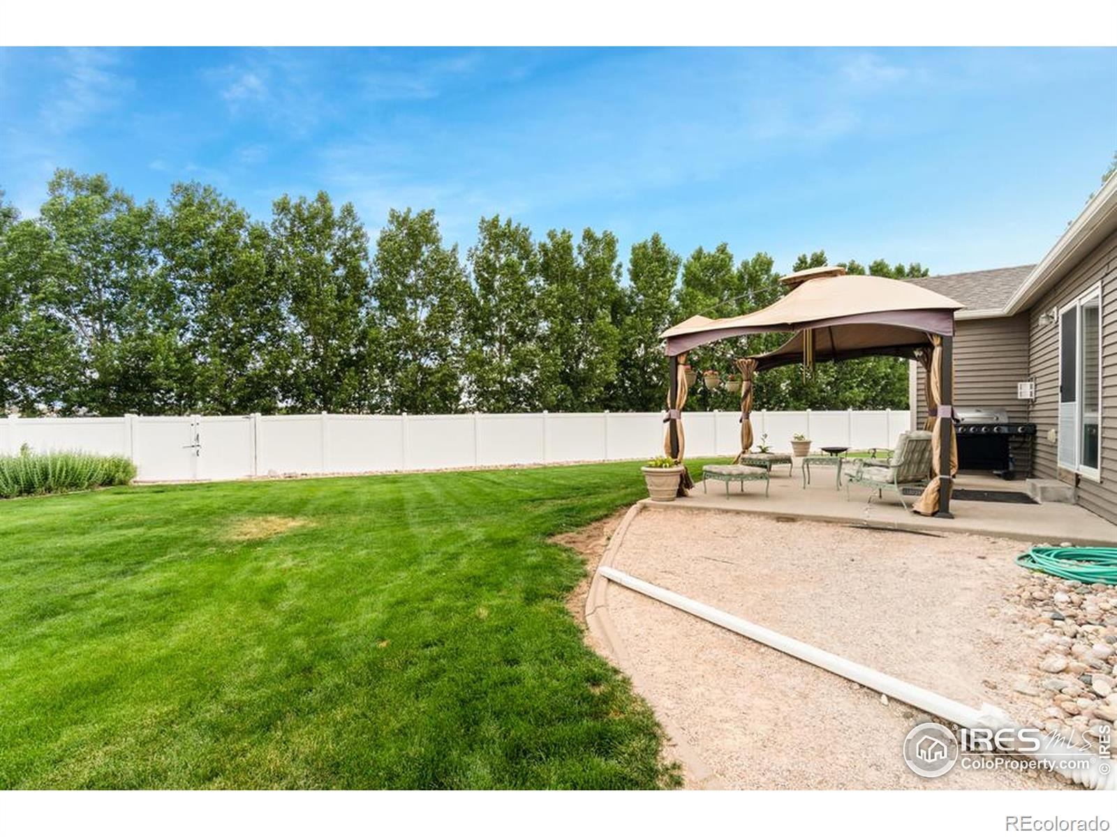 MLS Image #5 for 7037  raleigh street,wellington, Colorado