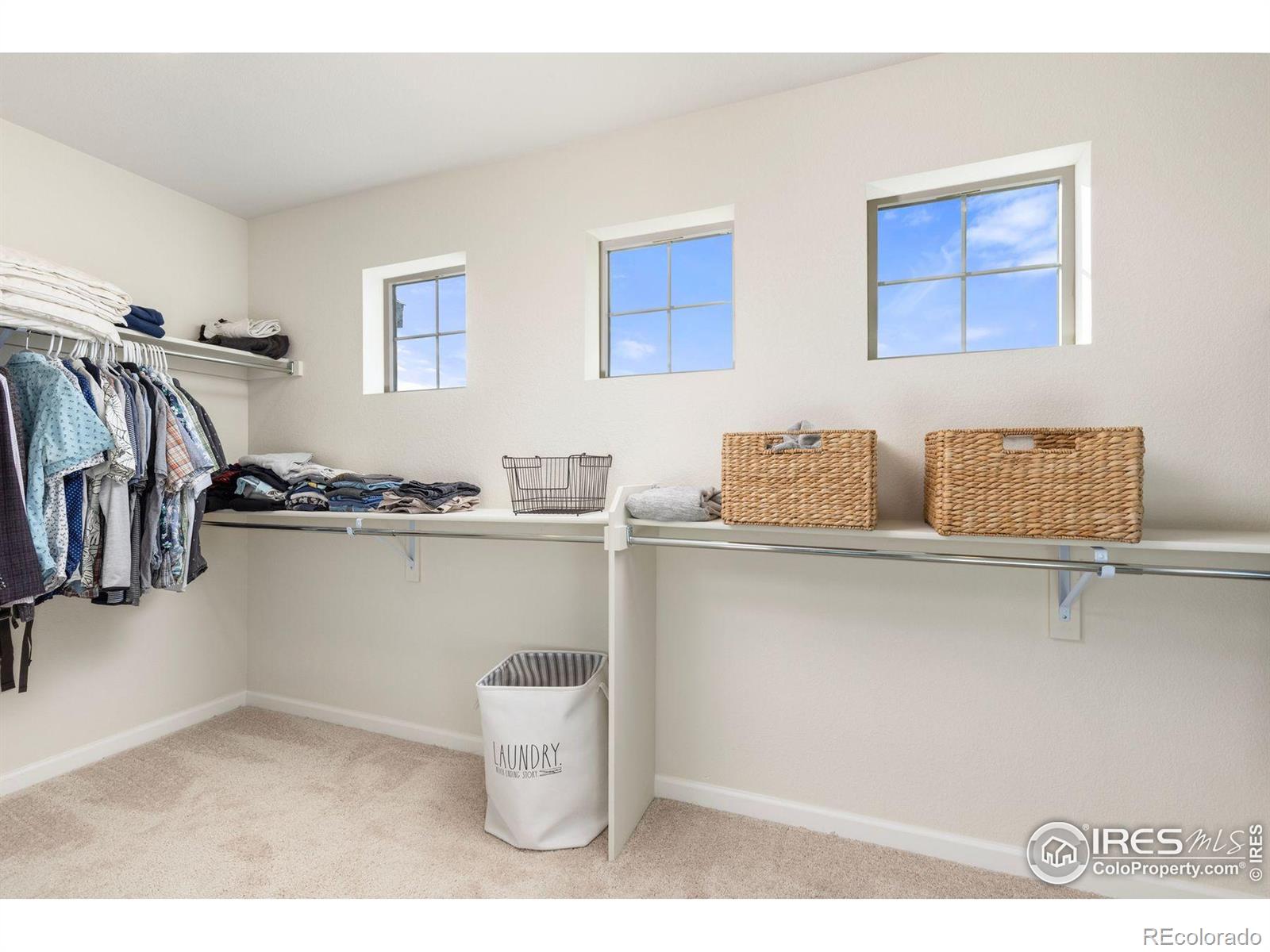 MLS Image #30 for 5900  sunrise place,longmont, Colorado