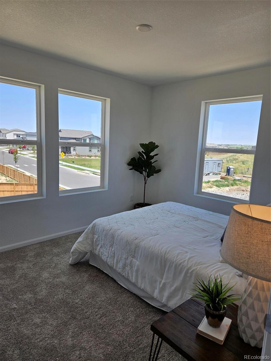 MLS Image #10 for 6077  idlewild place,brighton, Colorado