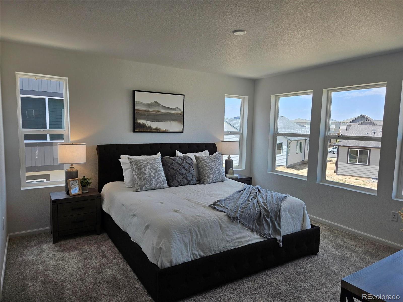 MLS Image #15 for 6077  idlewild place,brighton, Colorado