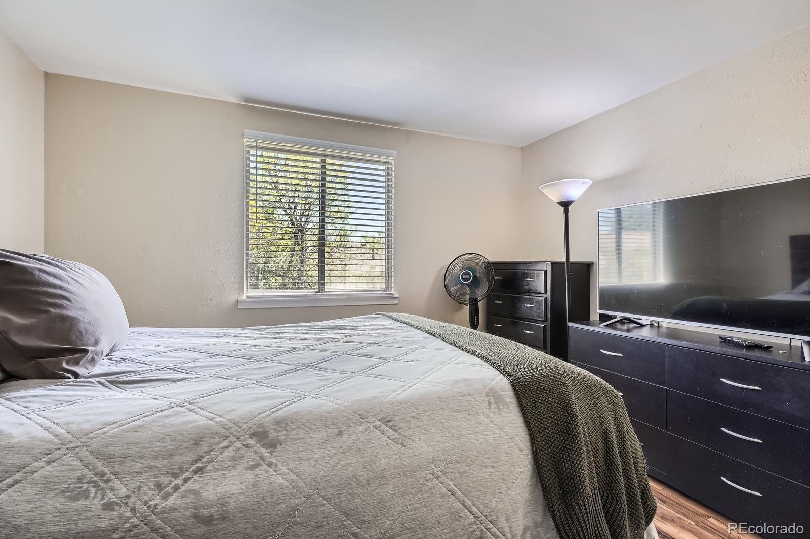 MLS Image #10 for 8438  prairie clover way,parker, Colorado