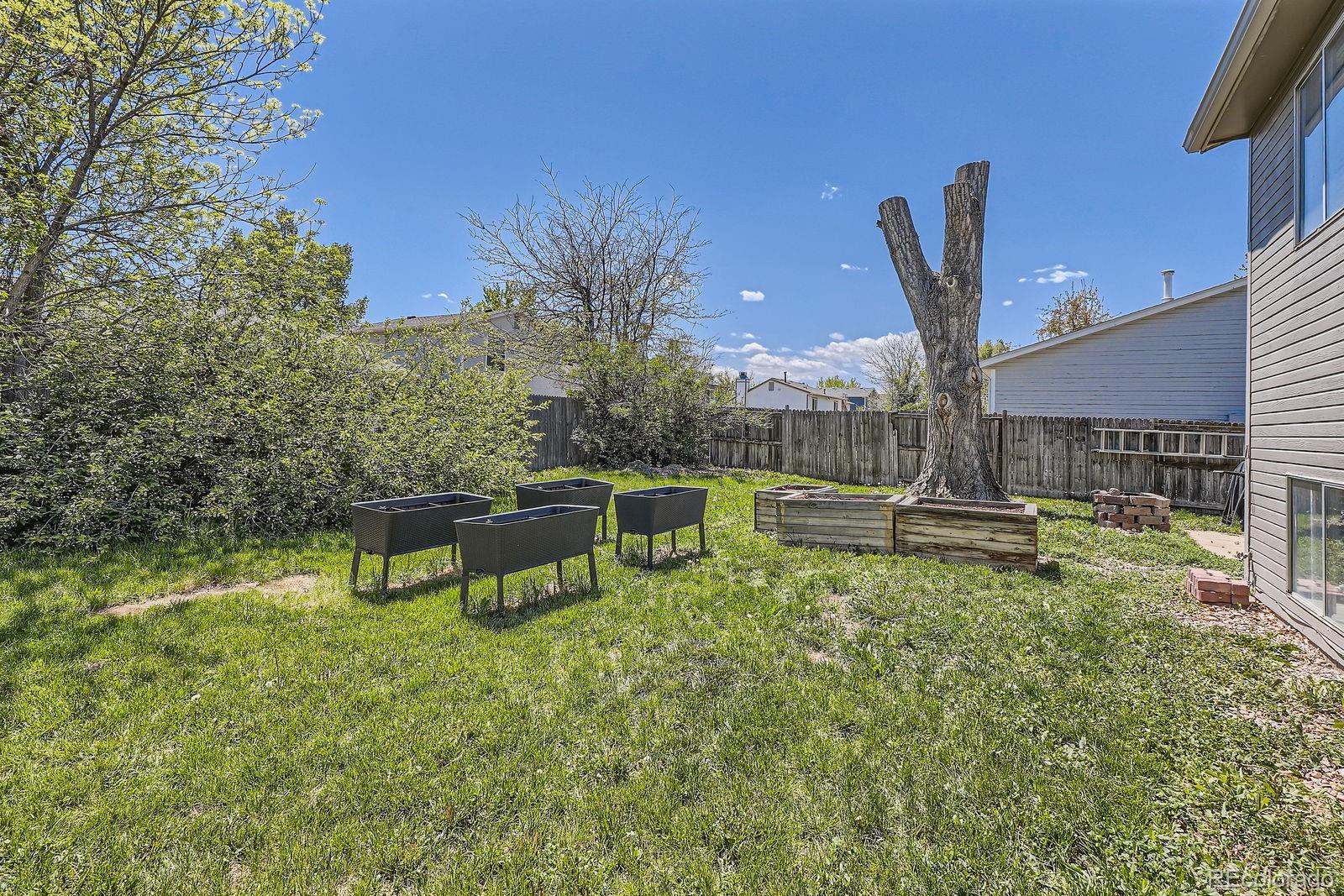 MLS Image #22 for 8438  prairie clover way,parker, Colorado