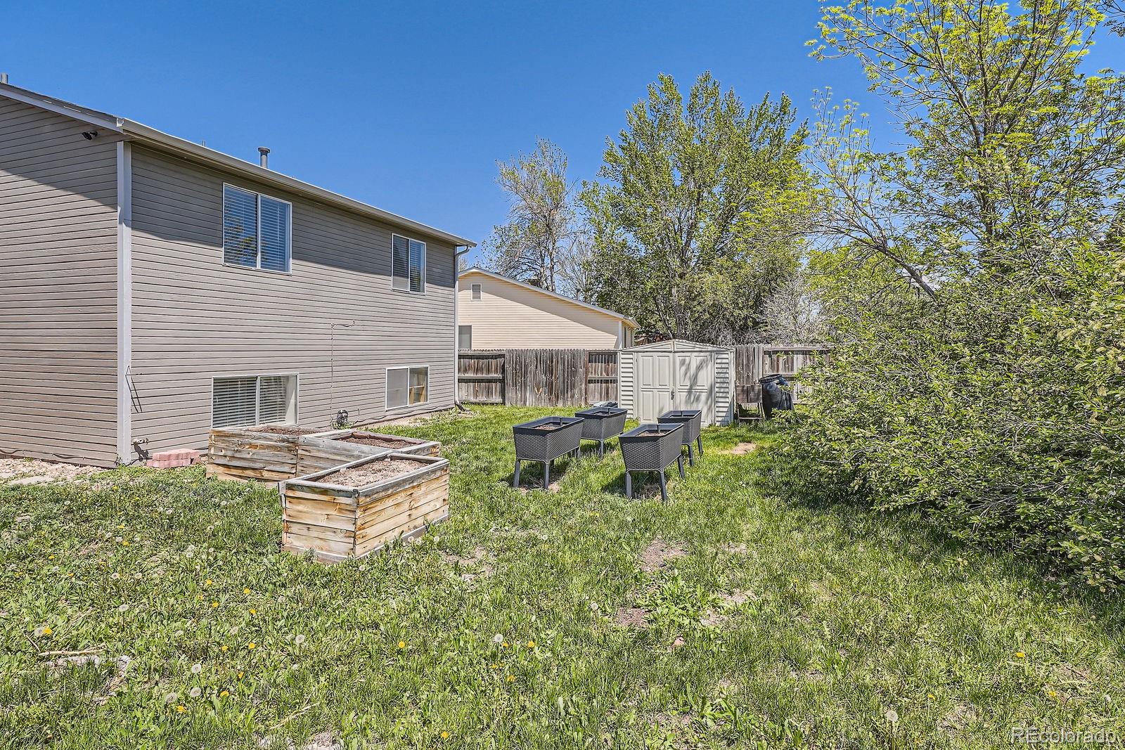 MLS Image #23 for 8438  prairie clover way,parker, Colorado