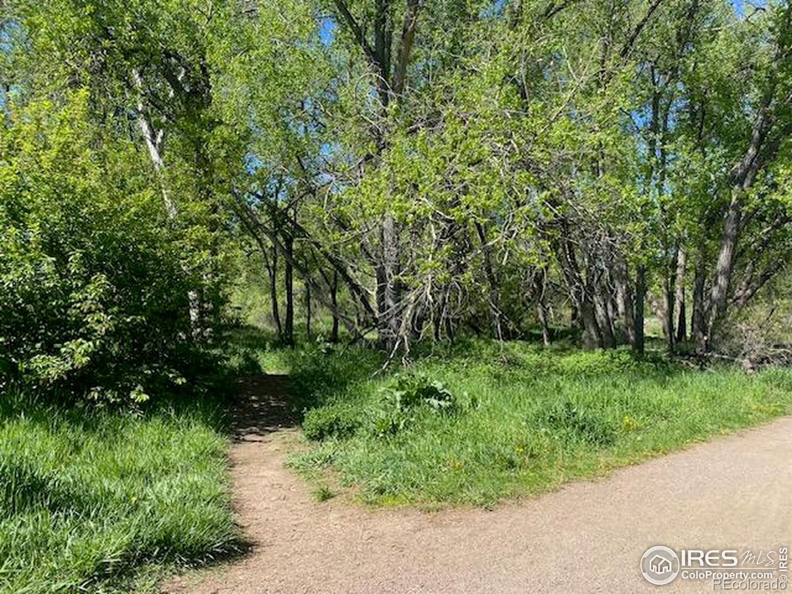 MLS Image #13 for 1117  elysian field drive,lafayette, Colorado