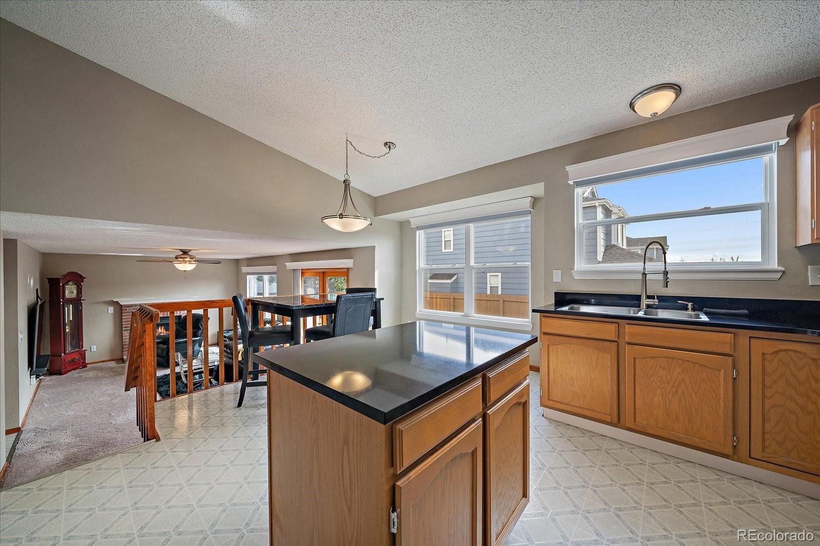 MLS Image #7 for 292 s pembrook street,castle rock, Colorado