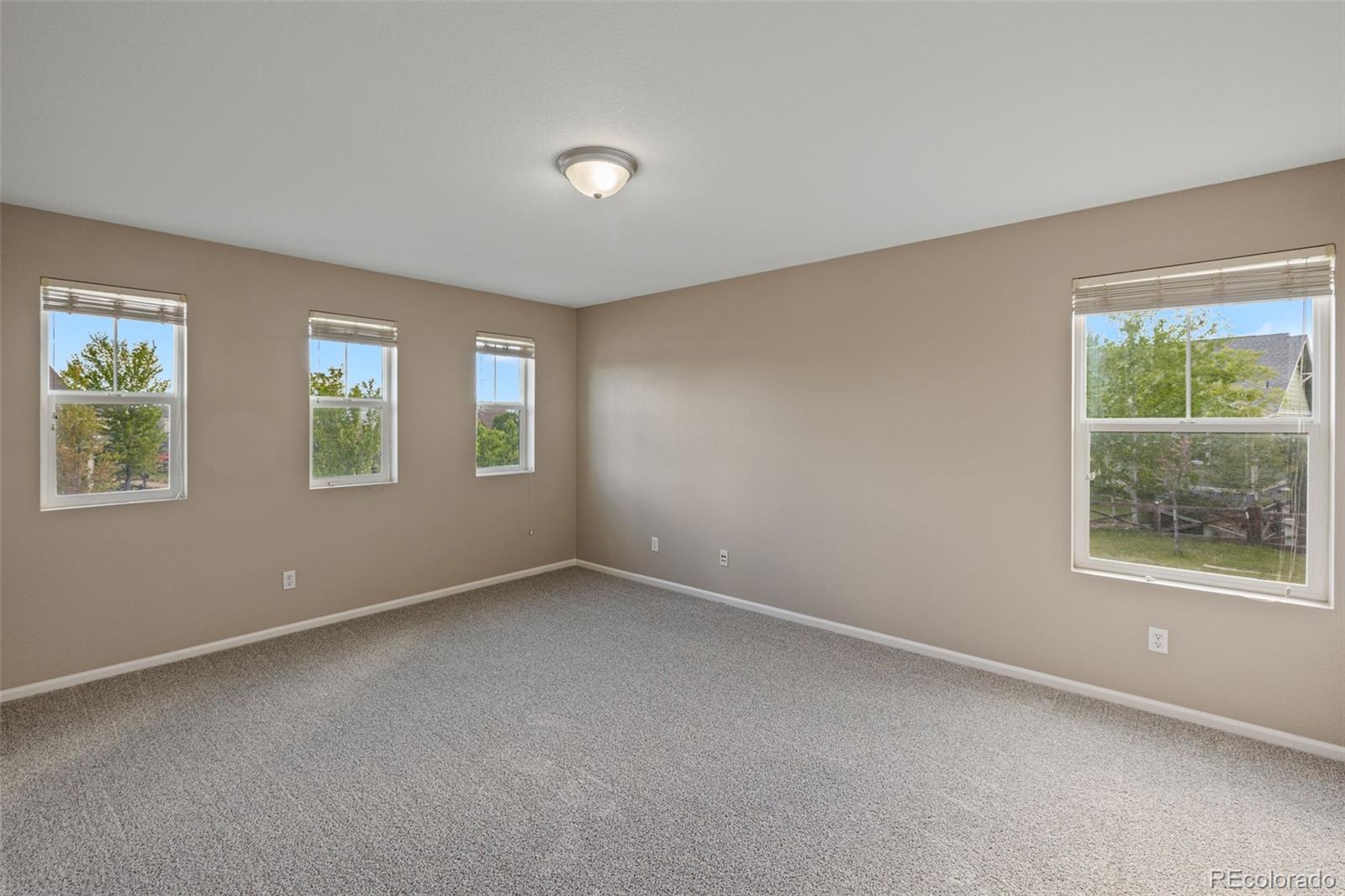 MLS Image #26 for 8216  mahogany wood court,colorado springs, Colorado