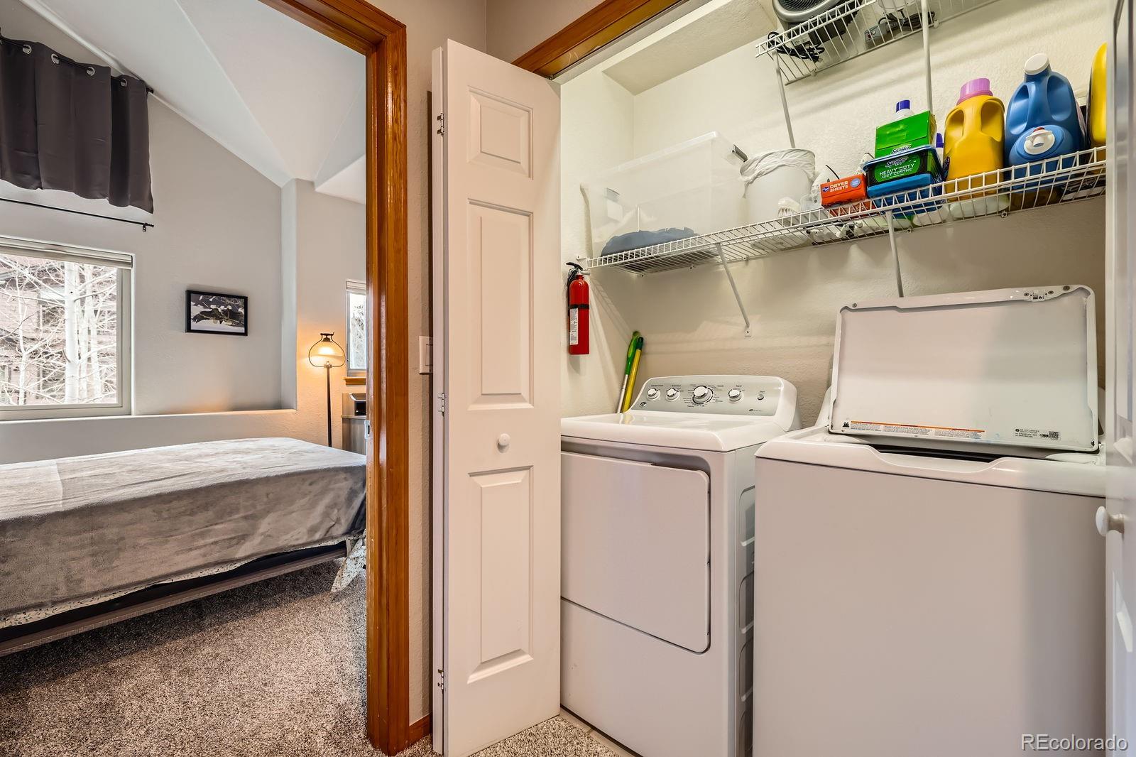 MLS Image #20 for 320  kestrel lane,silverthorne, Colorado