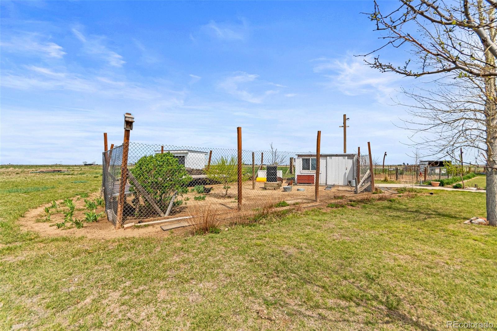 MLS Image #36 for 6383  county road k ,wiggins, Colorado