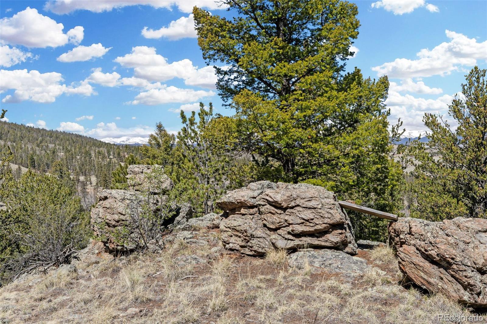 MLS Image #42 for 1838 e longbow drive,como, Colorado