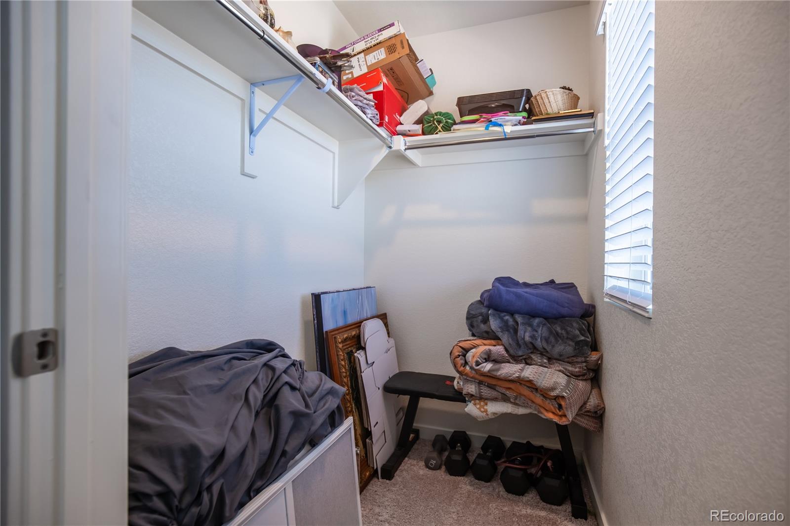MLS Image #4 for 920  william way,brighton, Colorado