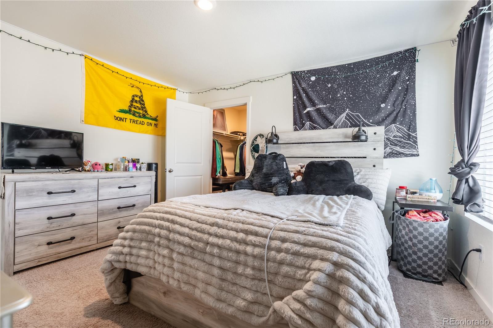 MLS Image #9 for 920  william way,brighton, Colorado