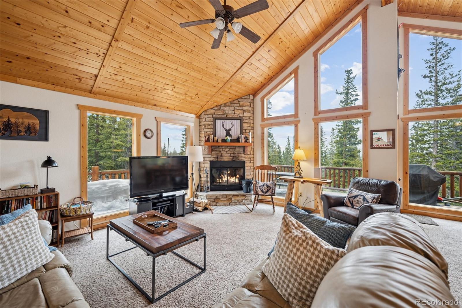 MLS Image #10 for 585  miners way,fairplay, Colorado