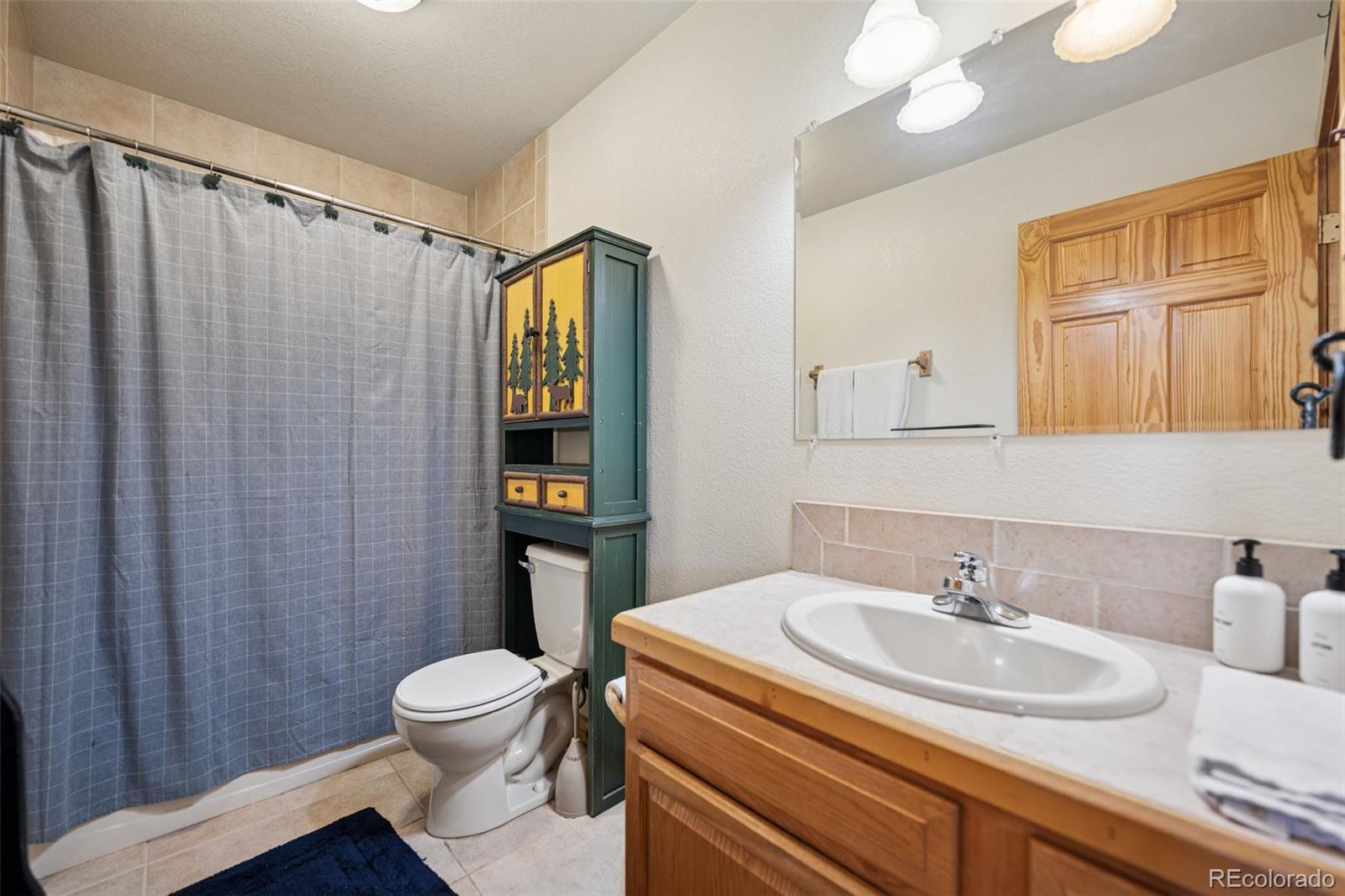 MLS Image #18 for 585  miners way,fairplay, Colorado