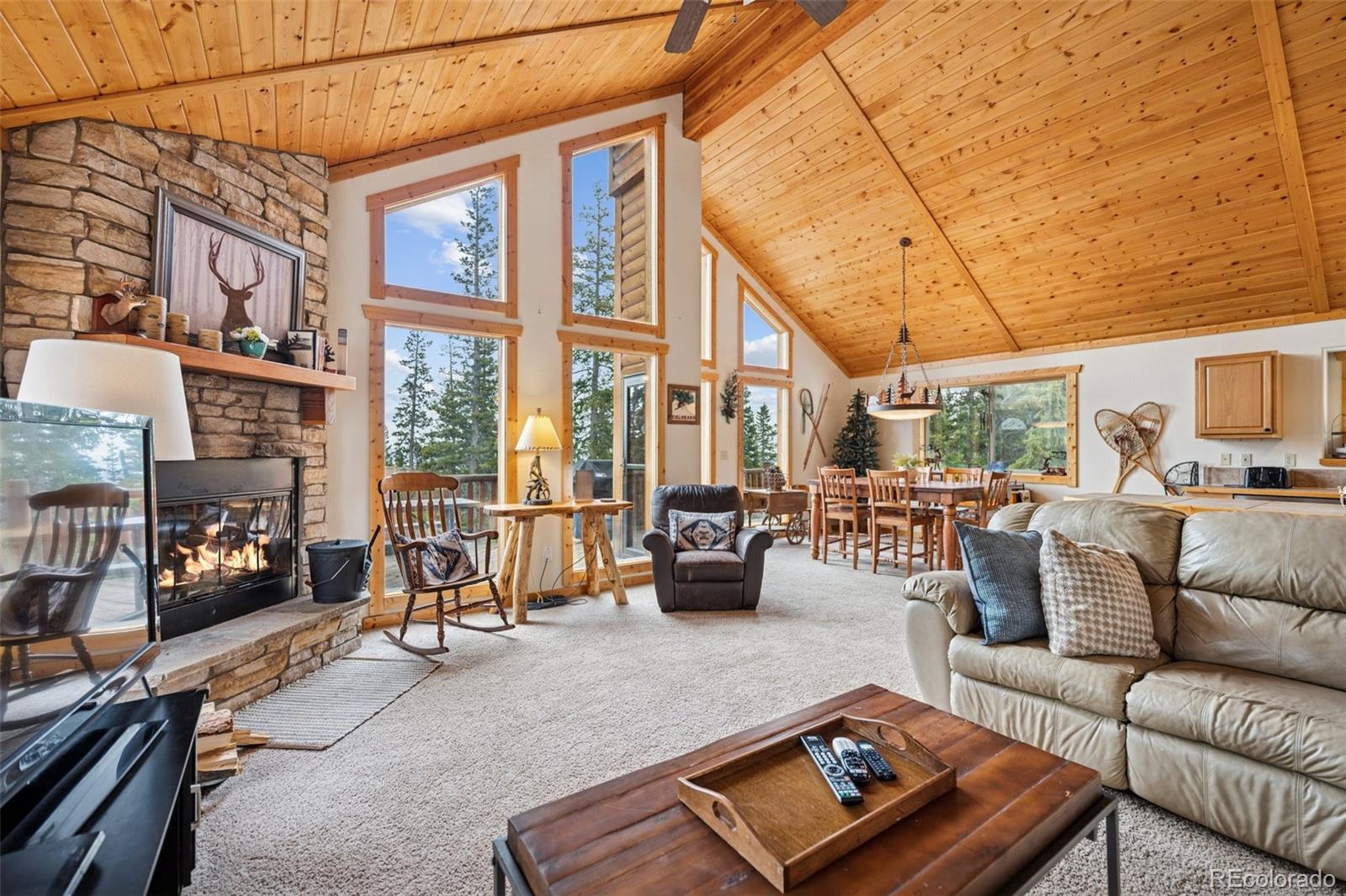 MLS Image #4 for 585  miners way,fairplay, Colorado