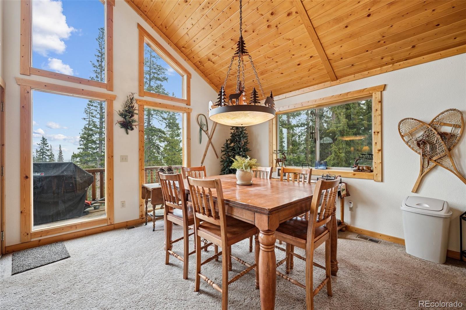 MLS Image #7 for 585  miners way,fairplay, Colorado
