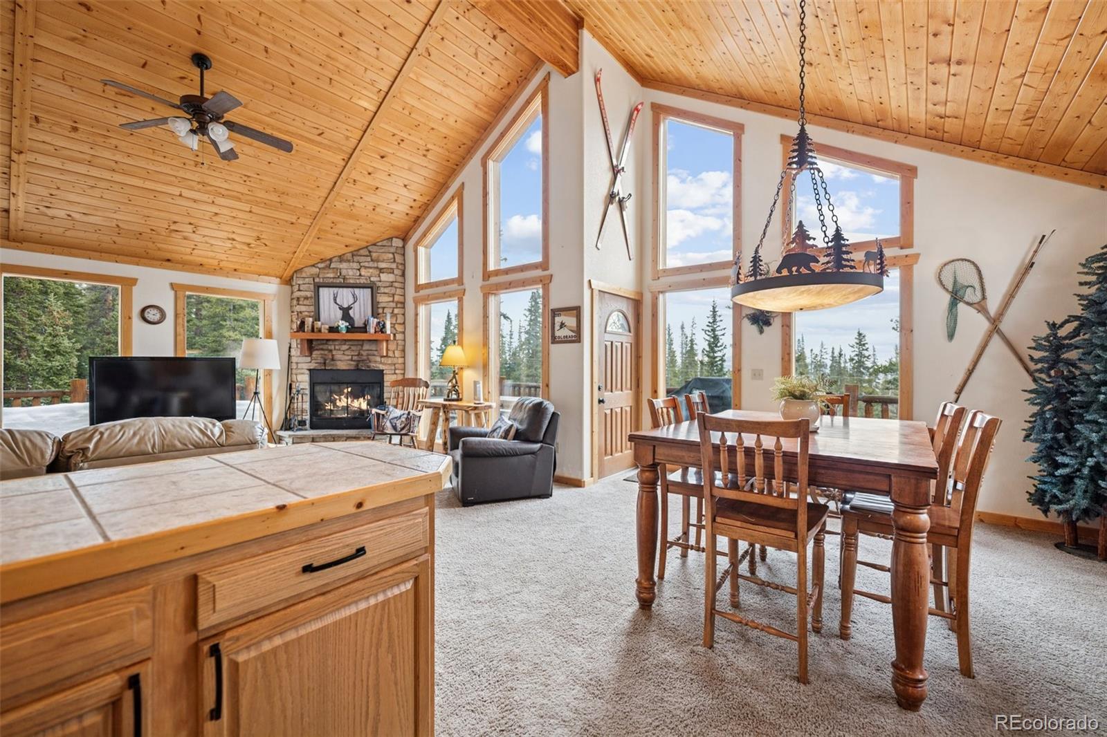 MLS Image #9 for 585  miners way,fairplay, Colorado