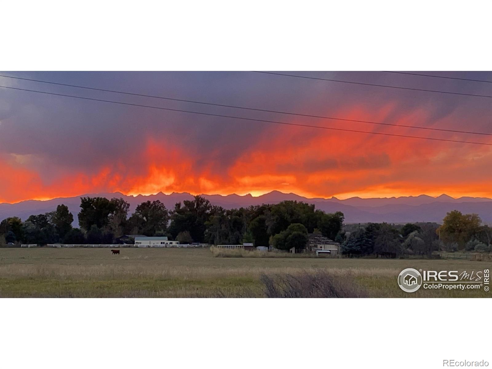 MLS Image #36 for 1264  banner circle,erie, Colorado