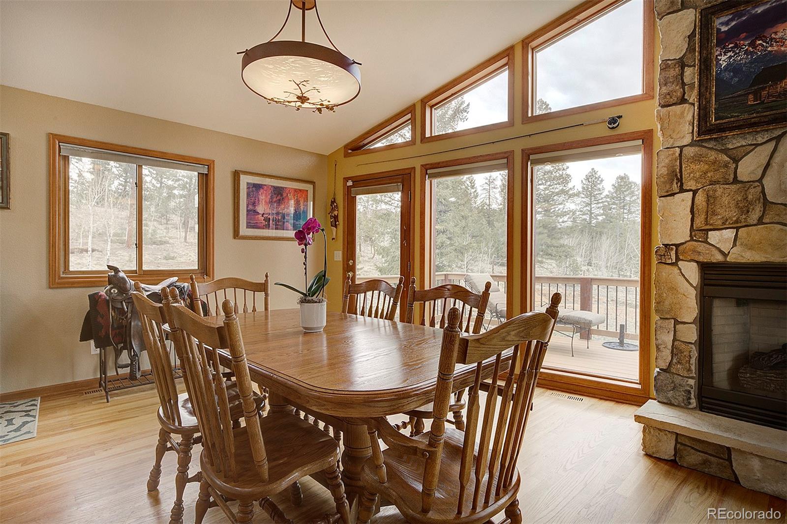 MLS Image #10 for 199  elk horn court,bailey, Colorado