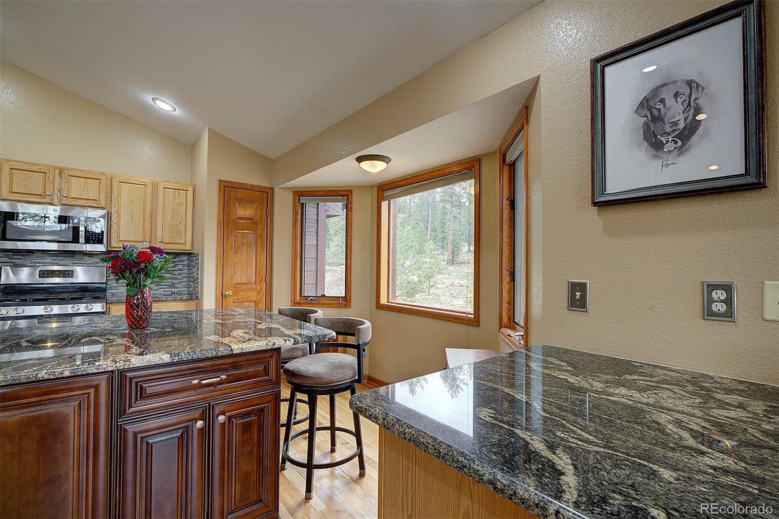 MLS Image #15 for 199  elk horn court,bailey, Colorado