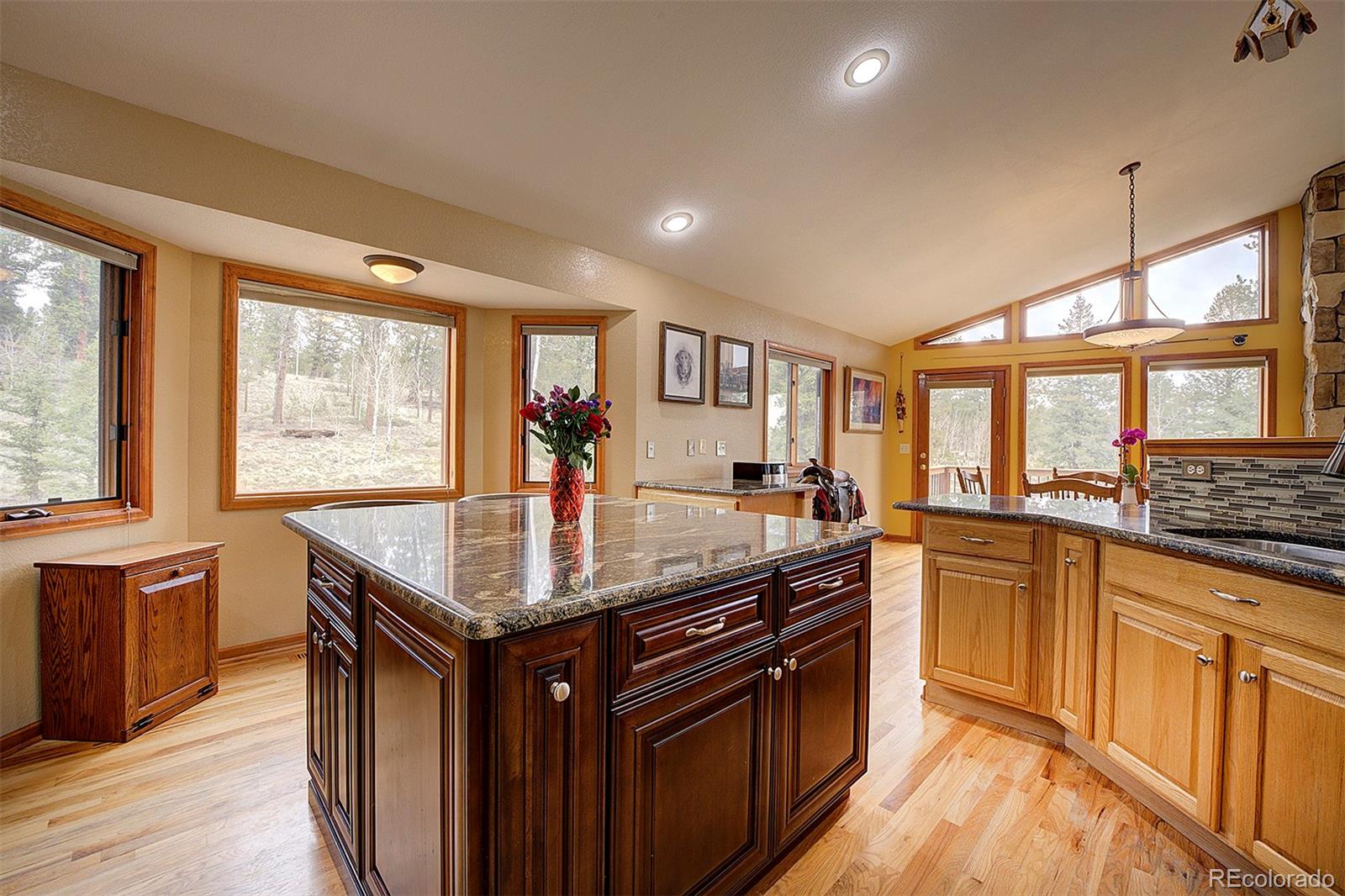 MLS Image #18 for 199  elk horn court,bailey, Colorado