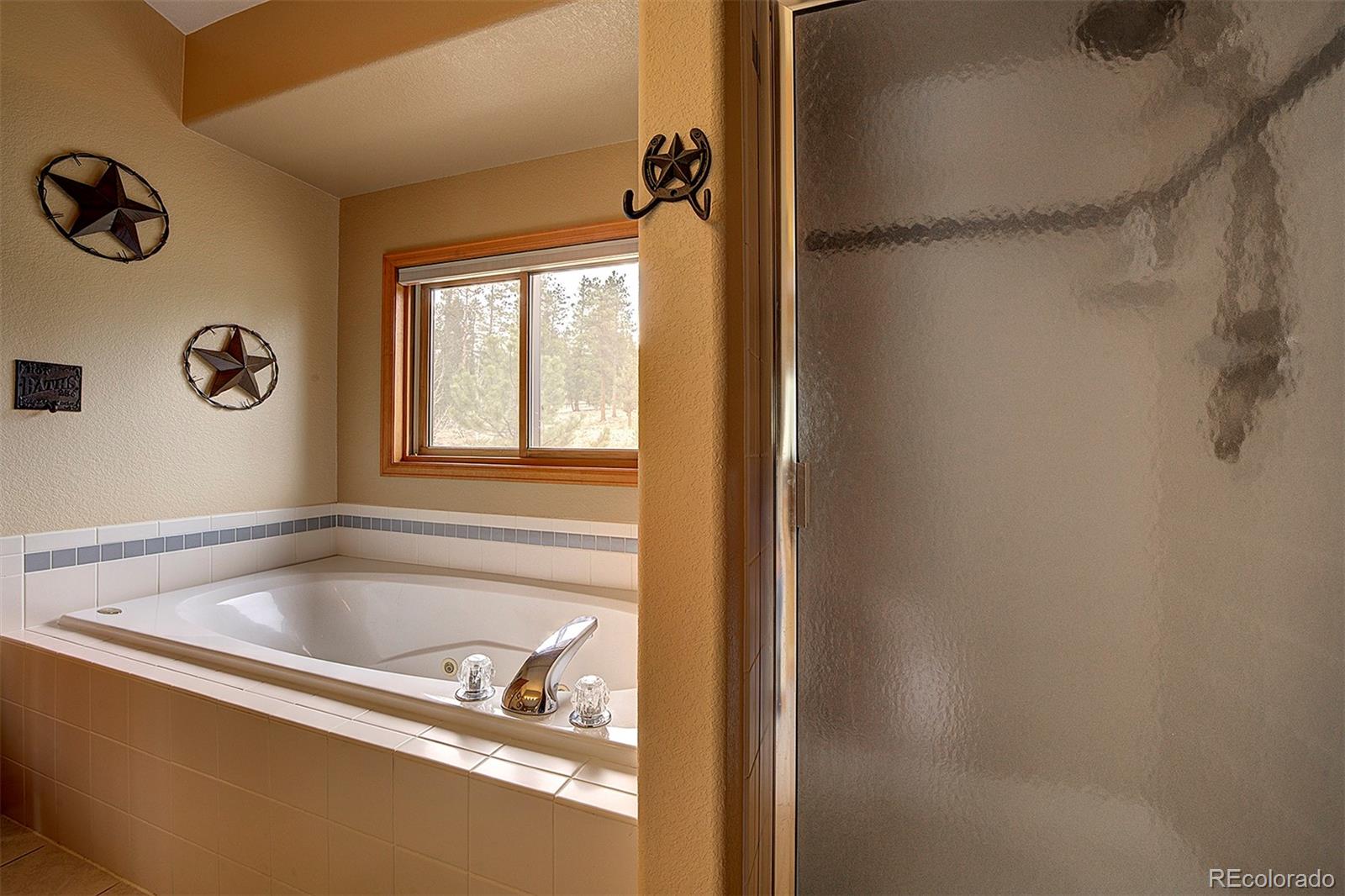 MLS Image #21 for 199  elk horn court,bailey, Colorado