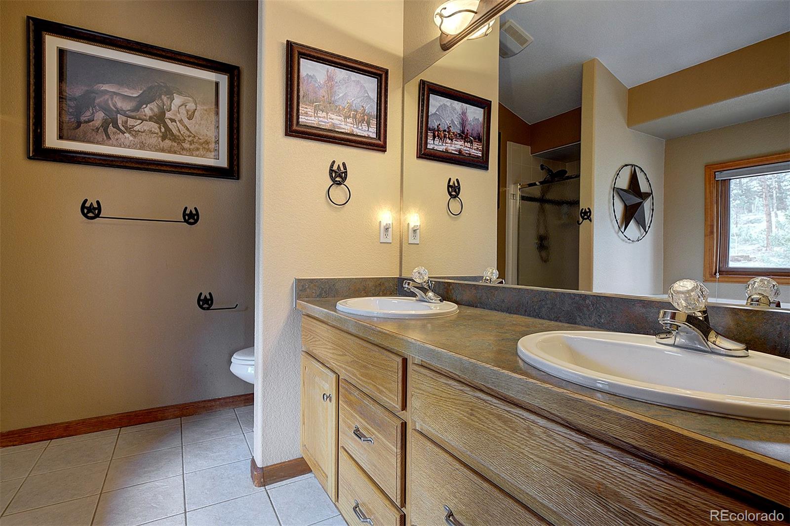 MLS Image #22 for 199  elk horn court,bailey, Colorado