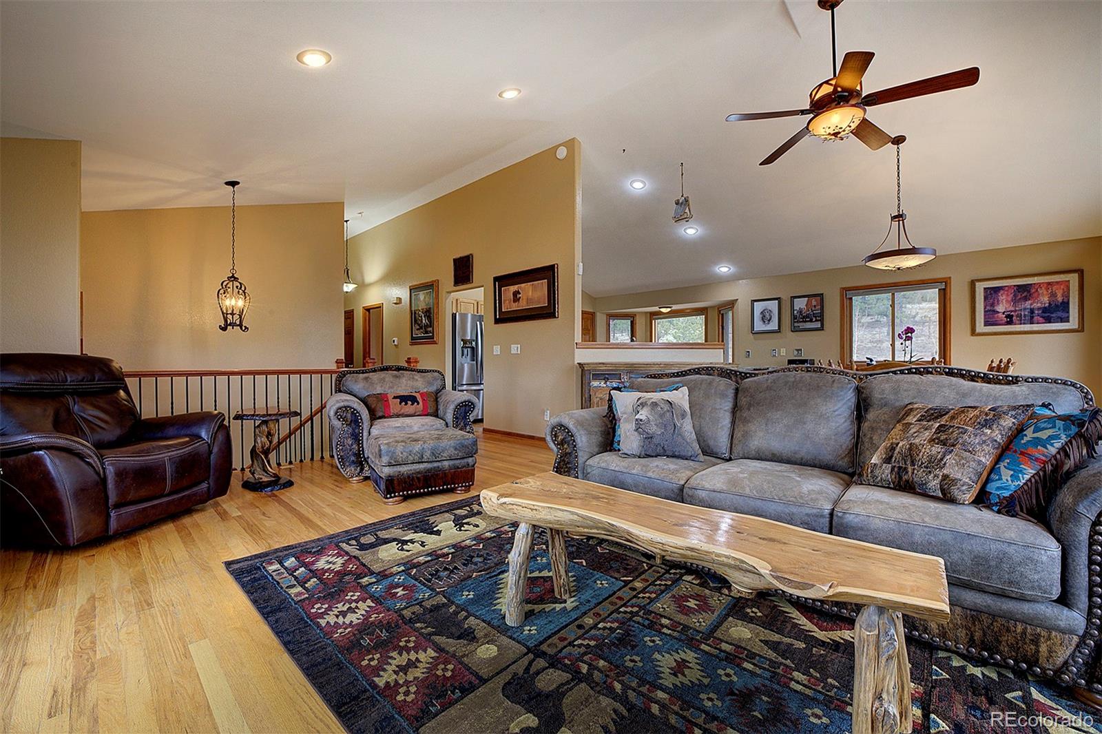 MLS Image #8 for 199  elk horn court,bailey, Colorado