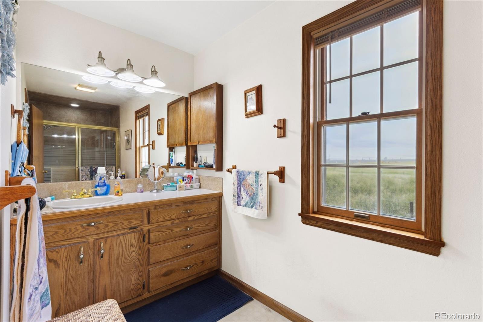 MLS Image #10 for 2091  tate avenue,fort lupton, Colorado