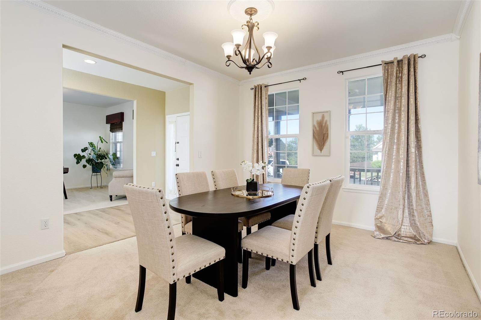 MLS Image #11 for 11680  crow hill drive,parker, Colorado