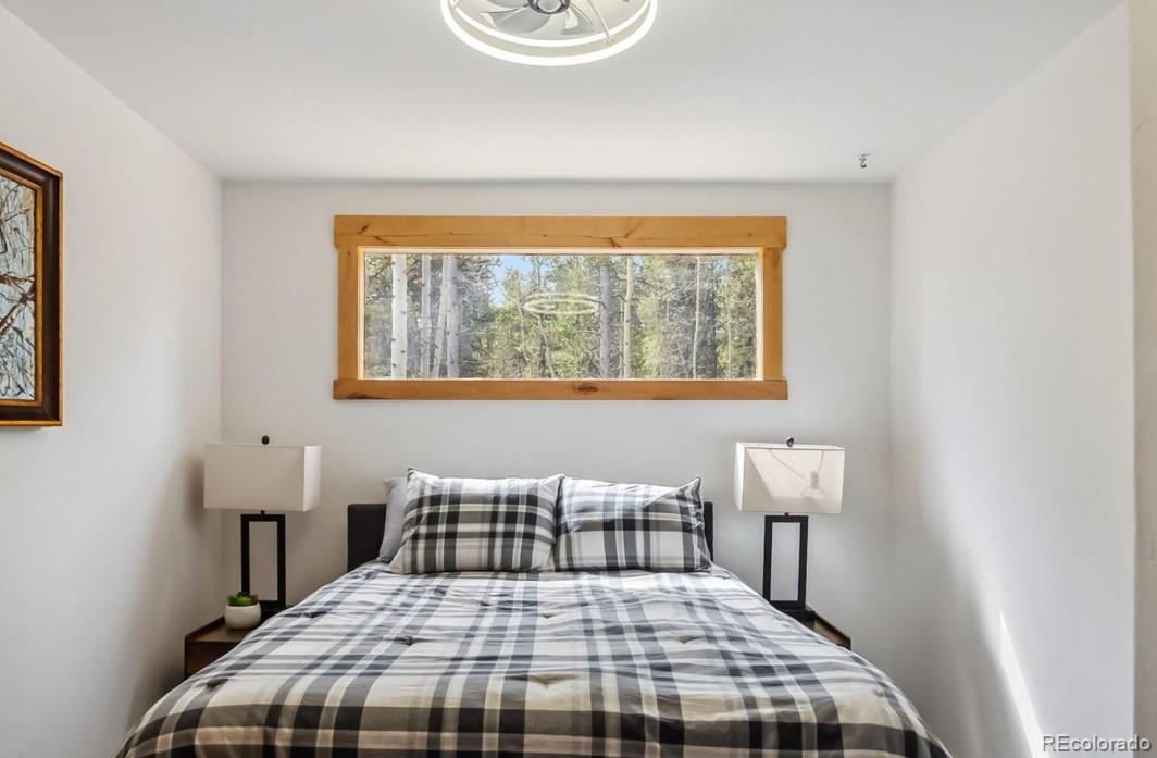 MLS Image #30 for 142  high point drive,breckenridge, Colorado