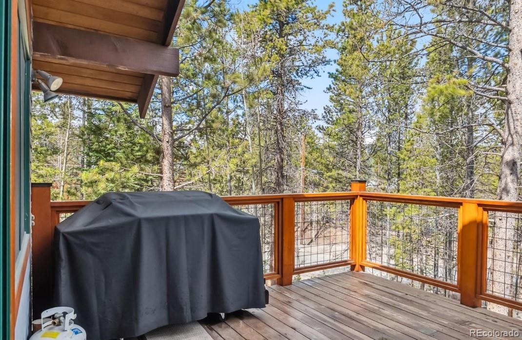 MLS Image #37 for 142  high point drive,breckenridge, Colorado
