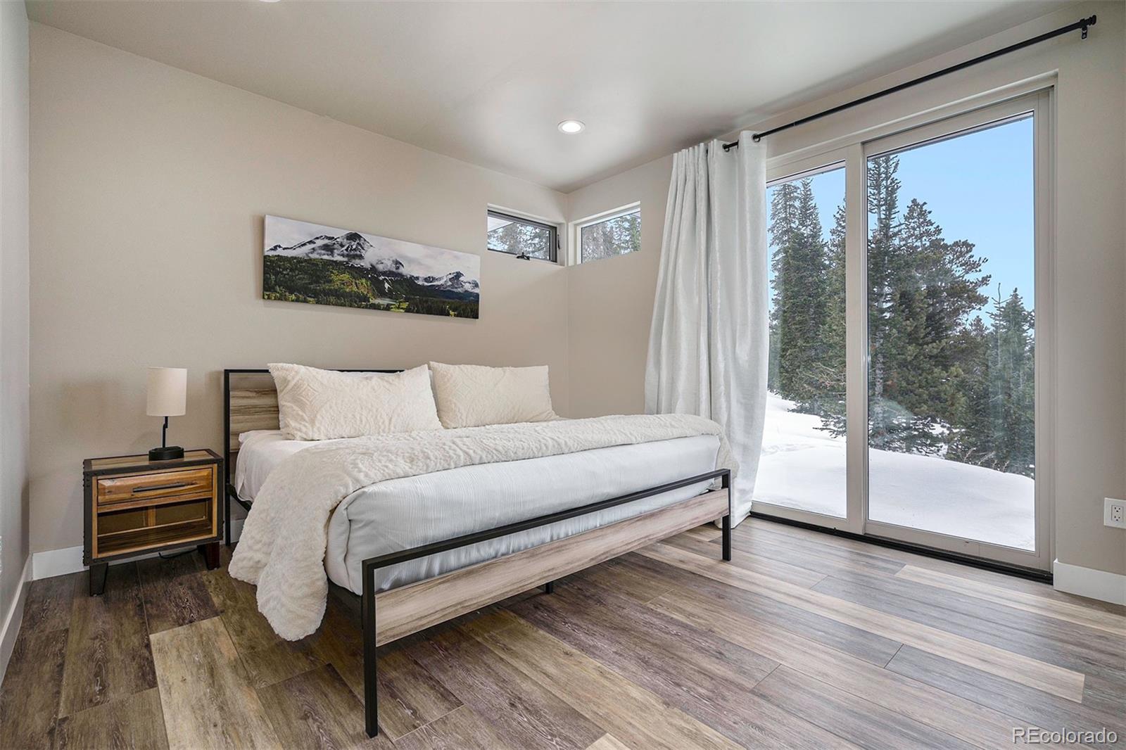 MLS Image #12 for 436 n fuller placer road,breckenridge, Colorado