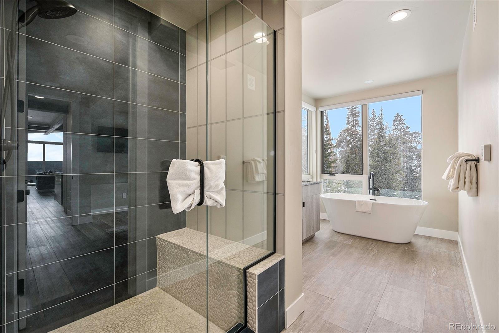 MLS Image #29 for 436 n fuller placer road,breckenridge, Colorado