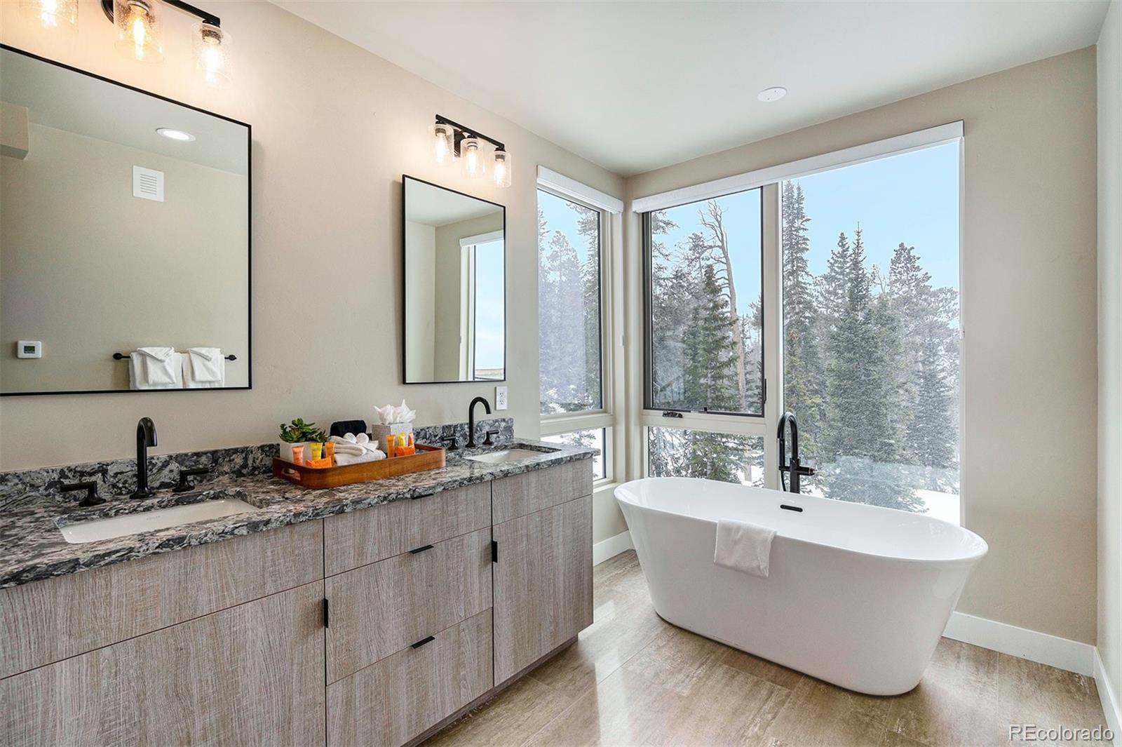 MLS Image #30 for 436 n fuller placer road,breckenridge, Colorado
